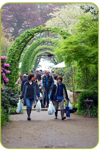 Plantendagen van Zeldzame en Collectieplanten - Celles Plantendagen van Zeldzame en Collectieplanten - Celles